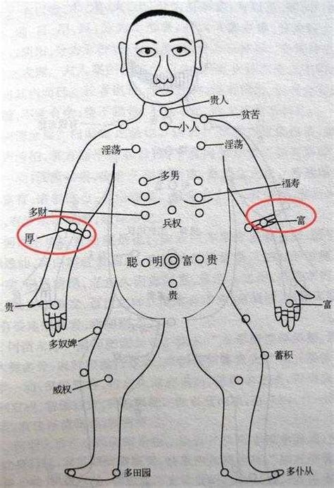 手臂有痣前世|吉玄堂：胳膊痣的位置与命运图解大全